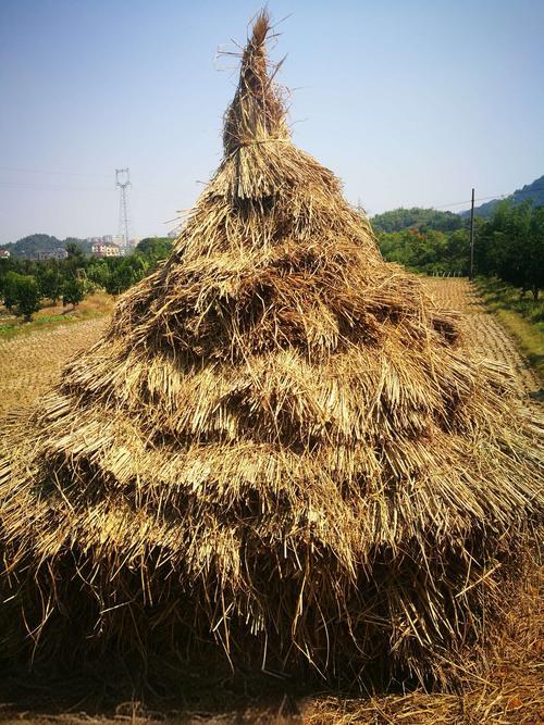 <strong>堆積秸稈不知如何處理？連續(xù)式碳化爐成為解決方案</strong>